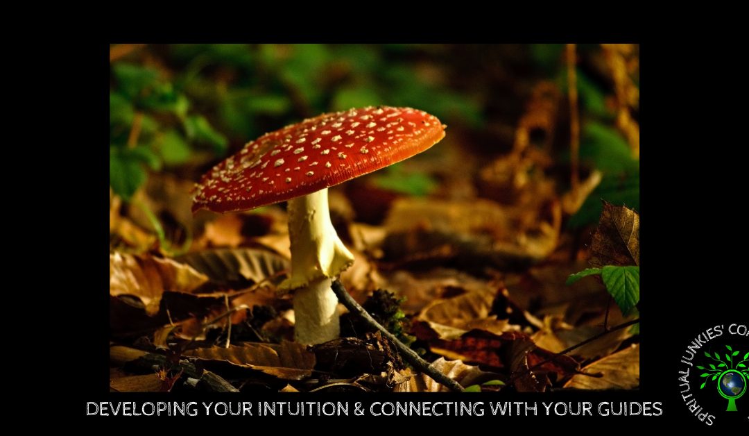 DEVELOPING YOUR INTUITION & CONNECTING WITH YOUR GUIDES MICRO WORKSHOP 24-01-2022